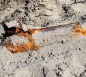 Авиабомбу уничтожили у маяка Слепиковского на Сахалине
