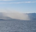 Очевидцы: облако пепла нависло над Северо-Курильском
