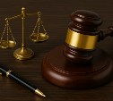 Долг — 337 млрд рублей: четыре участка и два дома сына Олега Кана обратили в доход государства 