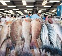 Рыбная биржа начинает работу в Сахалинской области 