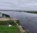 Сахалинские рыбаки недовольны установкой новых РУЗов в устье реки Таранай
