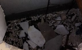 Общество