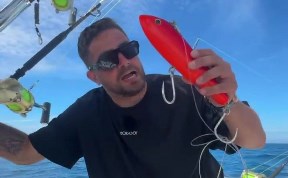 Общество