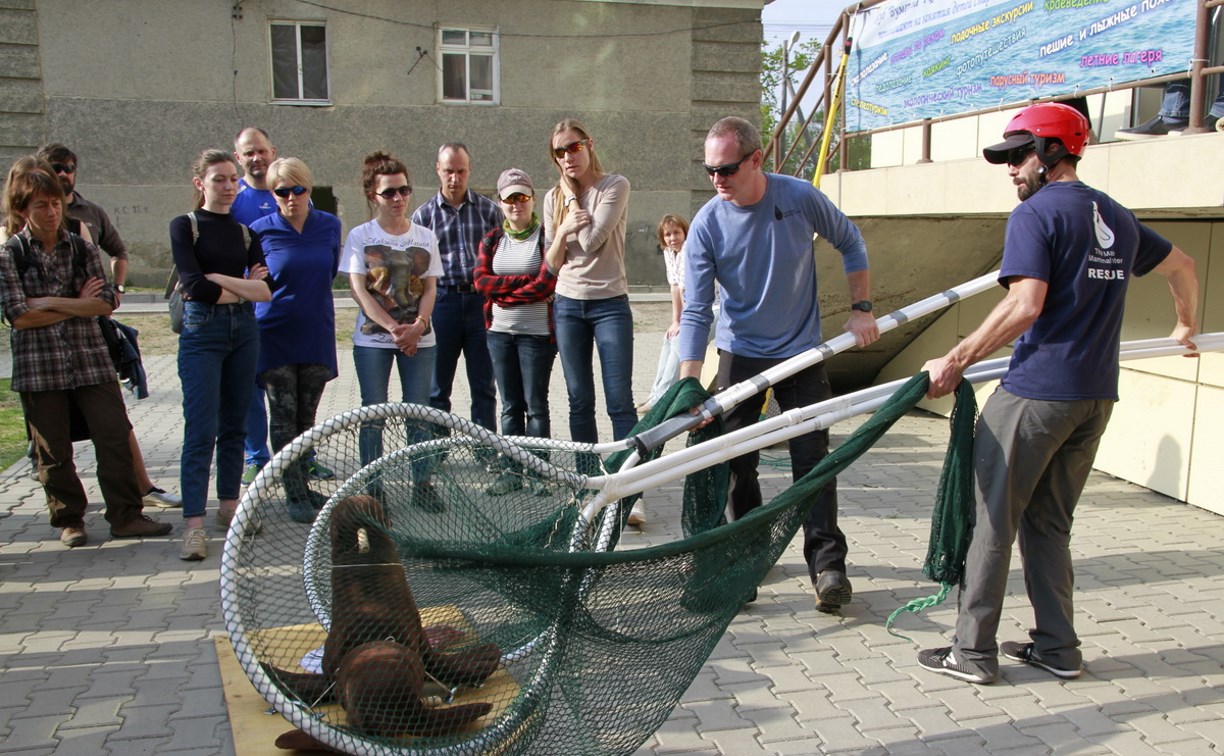 Активистов на Сахалине научили ловить сивучей