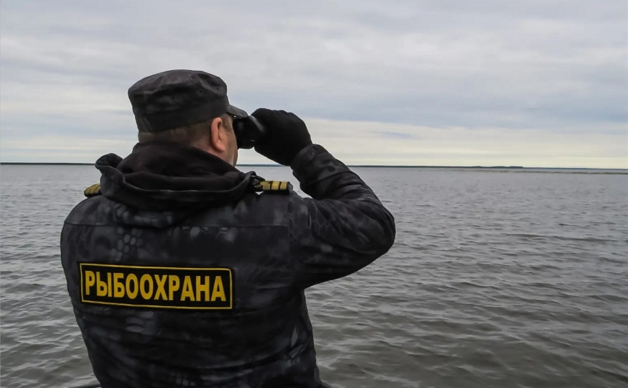 За неделю браконьеров на Сахалине оштрафовали на 75 000 рублей 
