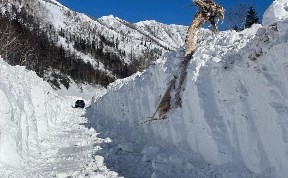 Происшествия