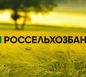 Назначен новый директор сахалинского филиала Россельхозбанка