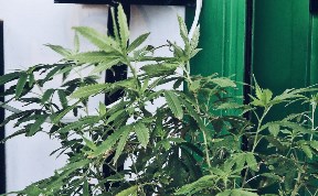 Происшествия