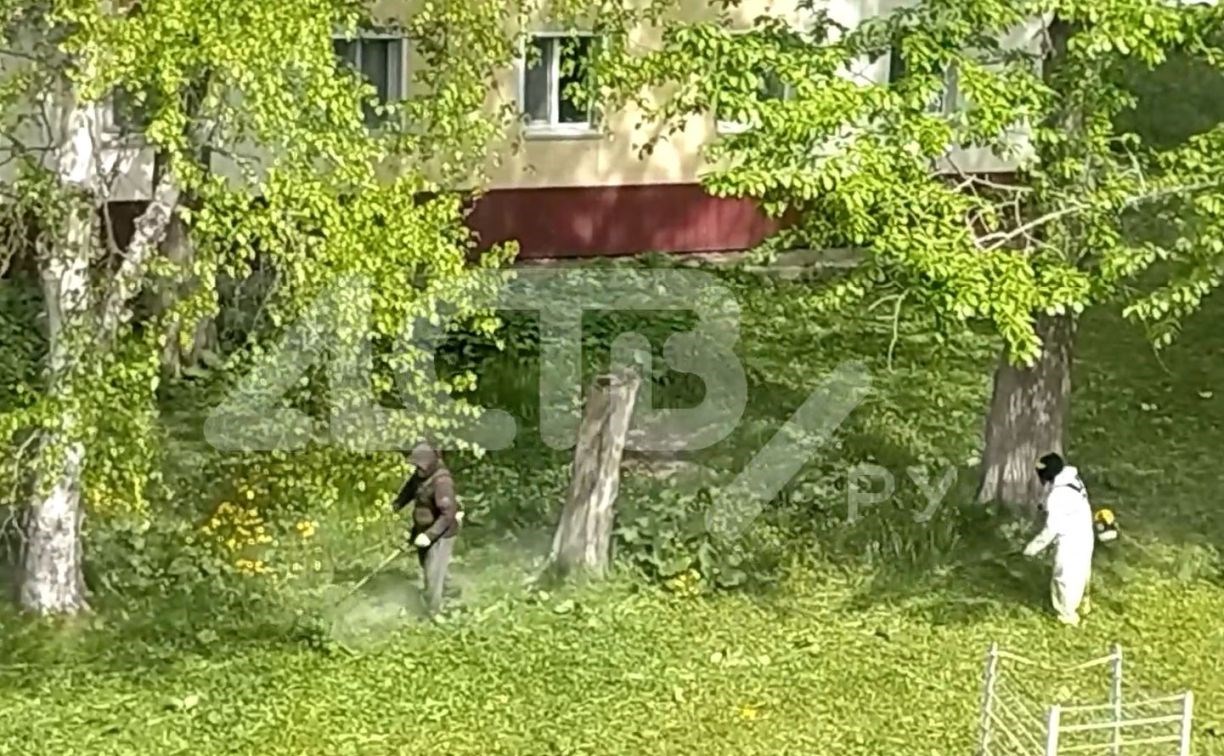 "Такая вонь стоит": жители Троицкого жалуются на газонокосильщиков 