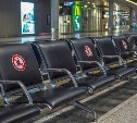 Вирус на подходе: учёные предупредили о риске вспышки чикунгуньи в России