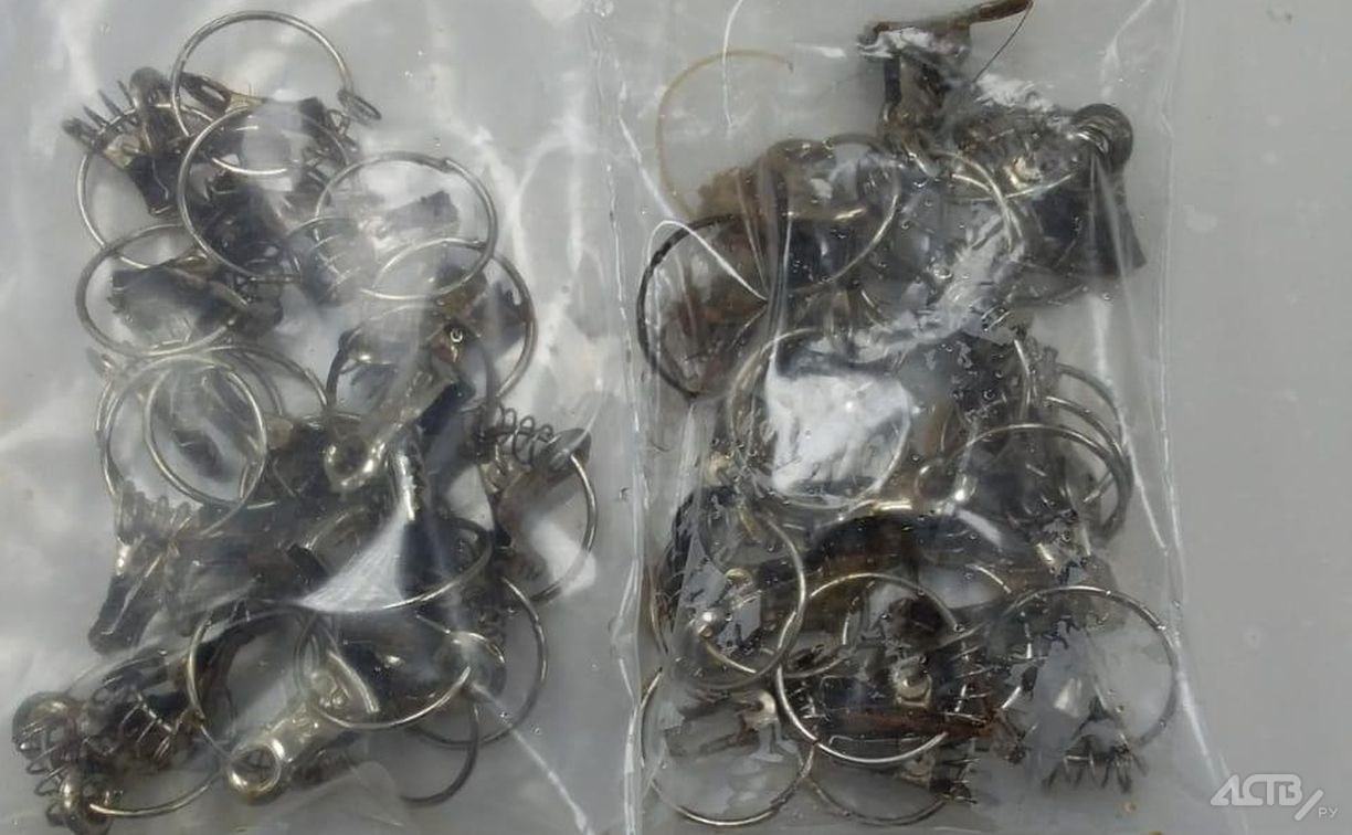 Сахалинские ветеринары во время операции достали из двух щенков два пакета прищепок