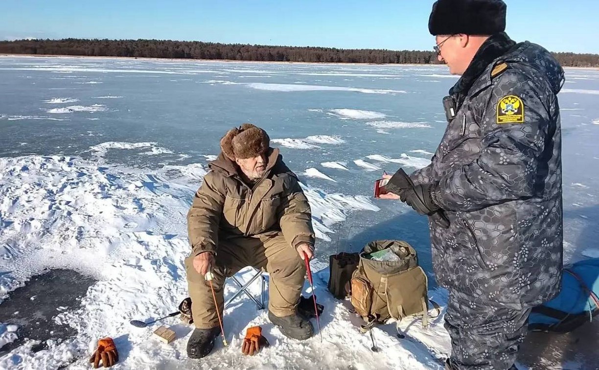 Штрафы на 4 млн и ущерб в 7,8 млн: на Сахалине подвели итоги рейдов по охране водных биоресурсов