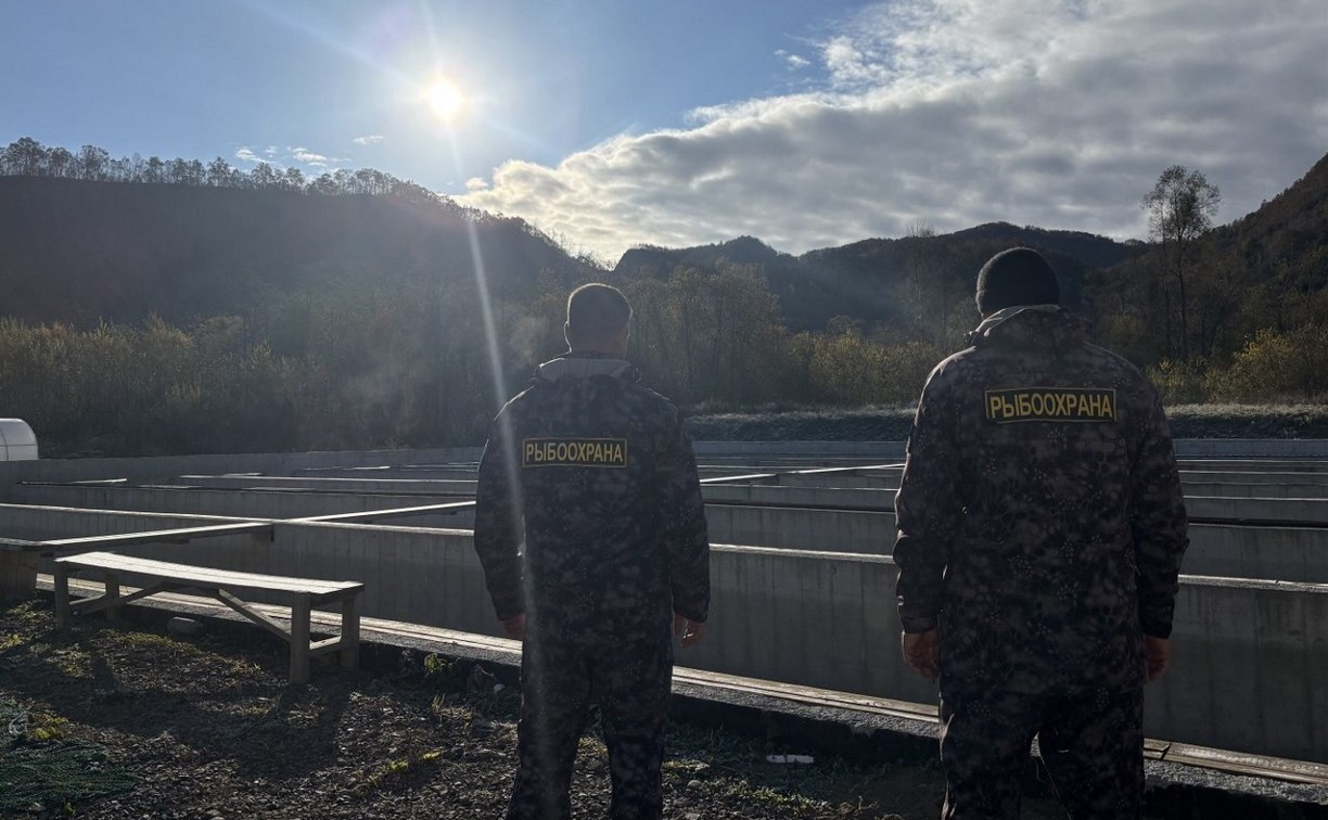 С начала года сахалинская рыбоохрана выявила более 2 тысяч нарушений и изъяла 39 транспортных средств С начала года сахалинская рыбоохрана выявила более 2 тысяч нарушений и изъяла 39 транспортных средств