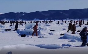 Общество