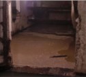 В подвале одного из домов Южно-Сахалинска болото из фекалий