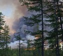 На Сахалине в 2024 году лесные пожары тушили быстрее, чем в других регионах России