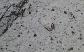 Происшествия