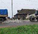 Трактором сгребали селедку с дороги в Углегорске