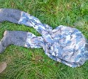 Потрошителя горбуши задержала полиция в Макаровском районе