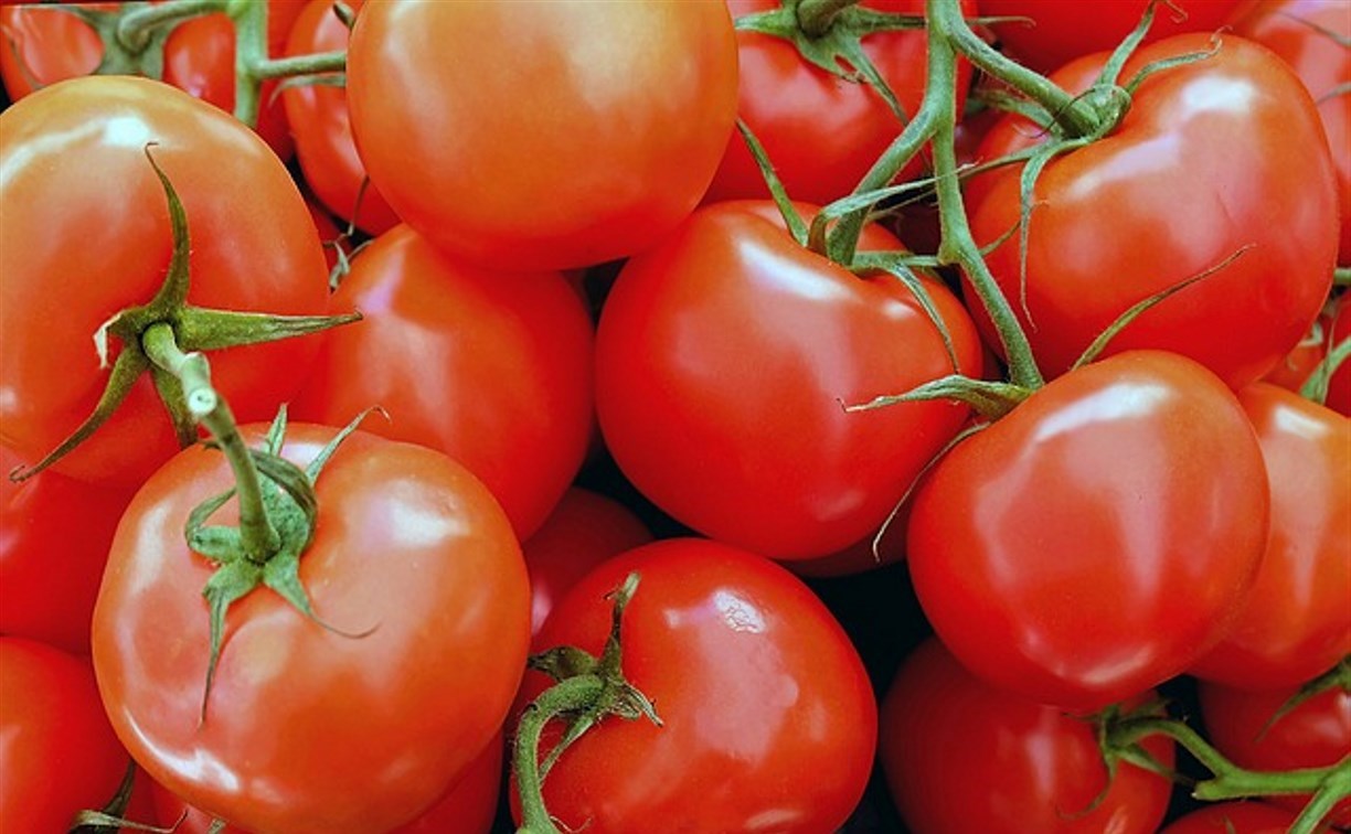 Огурцы и помидоры подешевеют: в России создадут агрегаторы сельхозпродукции