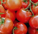 Огурцы и помидоры подешевеют: в России создадут агрегаторы сельхозпродукции