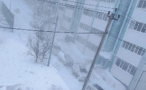 Общество