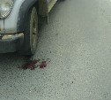 Мальчик попал под колеса внедорожника в Южно-Сахалинске