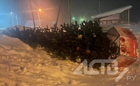 Общество