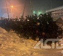 Ураганный ветер повалил новогоднюю ель в Адо-Тымово