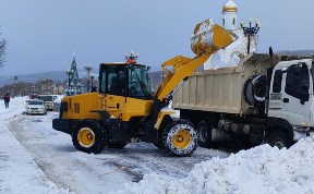 Общество