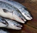 Сотрудники рыбохраны на Сахалине взяли браконьера на реке прямо во время добычи лосося