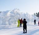 Парк Южно-Сахалинска объявил конкурс на лучшую снежную фигуру