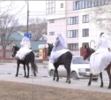 Лимузины лошадям уступили, или Необычный свадебный кортеж (ФОТО)