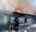 Прокуратура Южно-Сахалинска начала проверку по факту пожара в приюте "Пёс и кот"