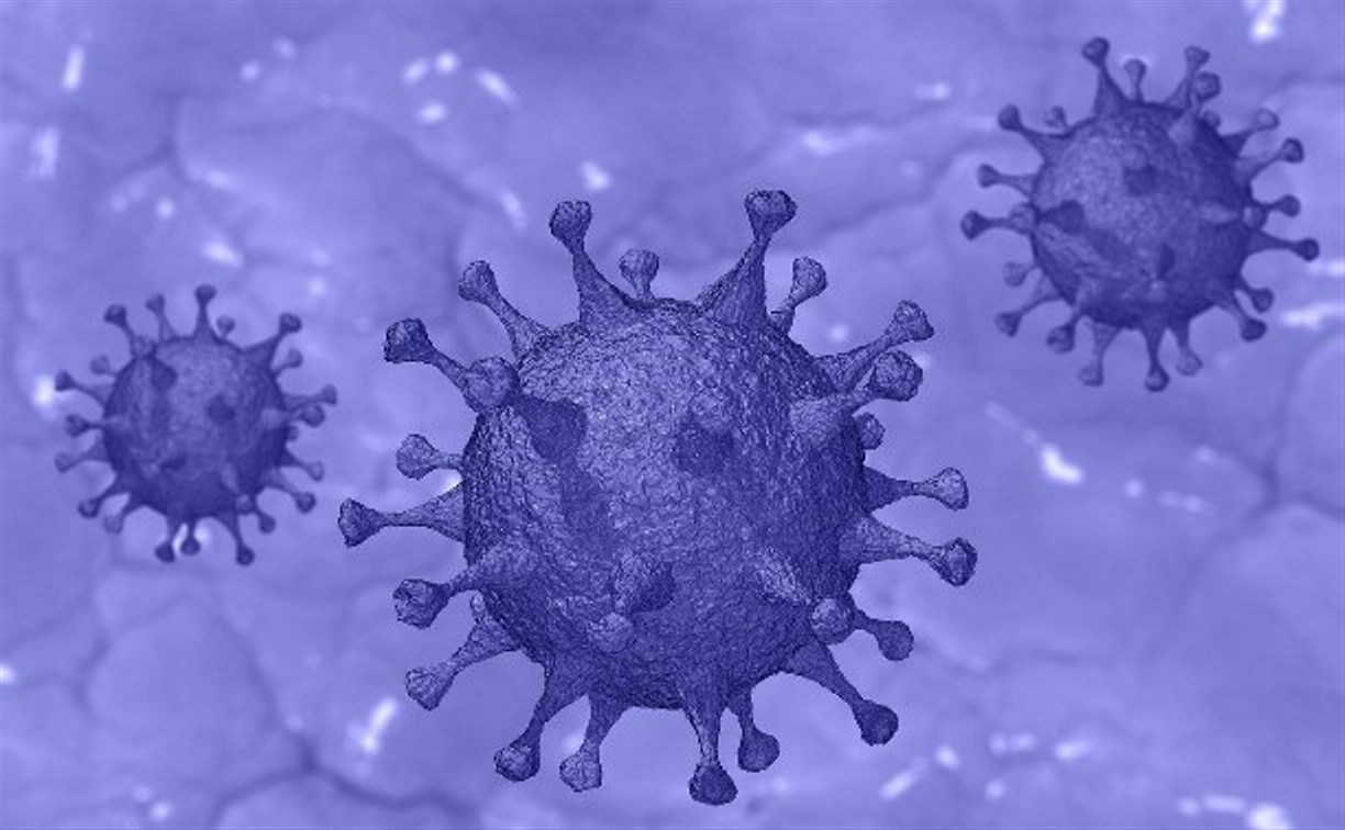 Тридцать первый случай заражения коронавирусом зафиксировали на Сахалине