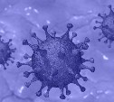 Тридцать первый случай заражения коронавирусом зафиксировали на Сахалине
