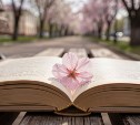 На Сахалине до +19 °C, а на Курилах до +7 °C: прогноз погоды для региона на 22 мая