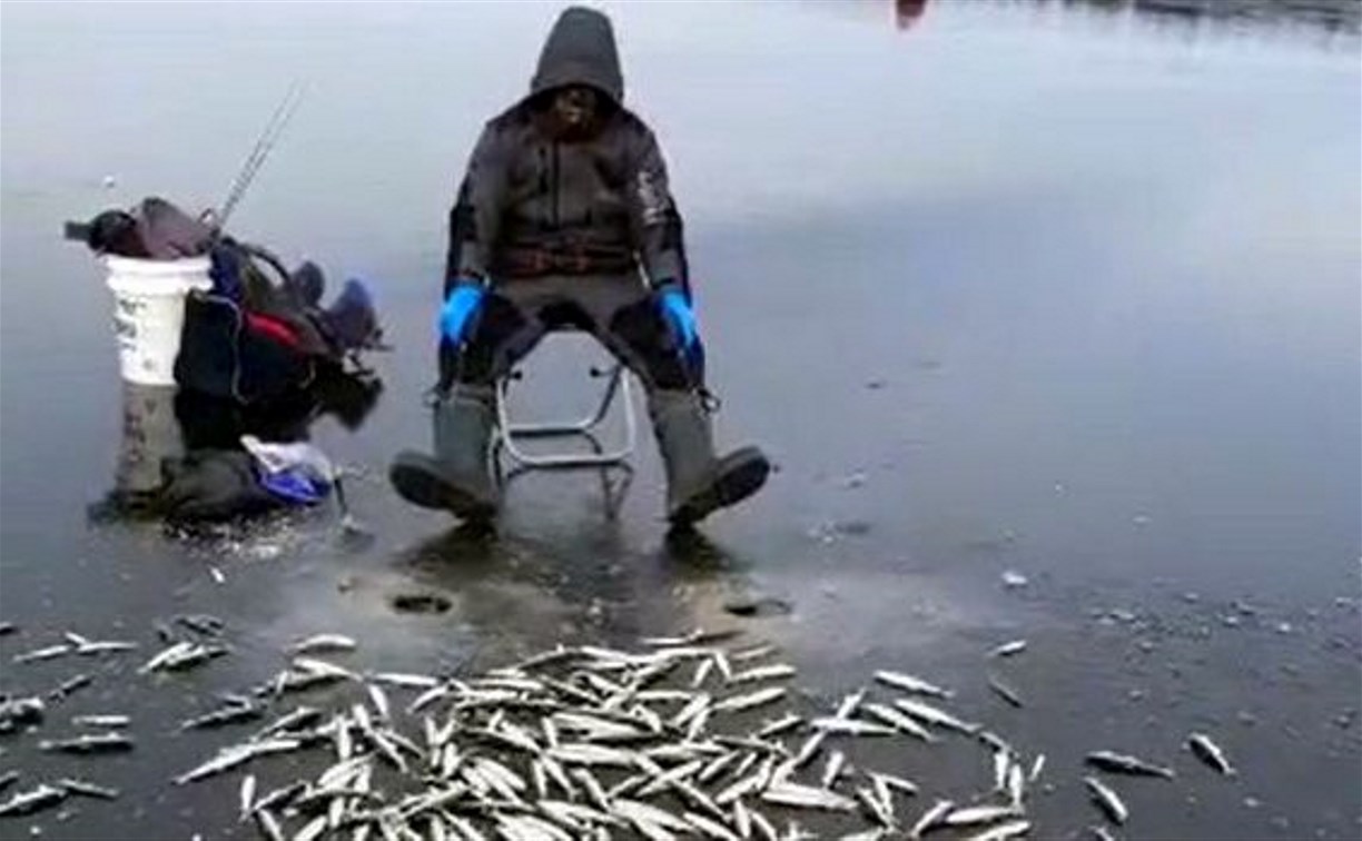 "На Буссе будет день водолаза": озеро едва замёрзло, но в выходные туда готовы отправиться сотни рыбаков