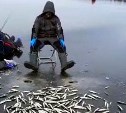 "На Буссе будет день водолаза": озеро едва замёрзло, но в выходные туда готовы отправиться сотни рыбаков