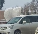 Фигура обезглавленного медведя на площади озадачила южносахалинцев