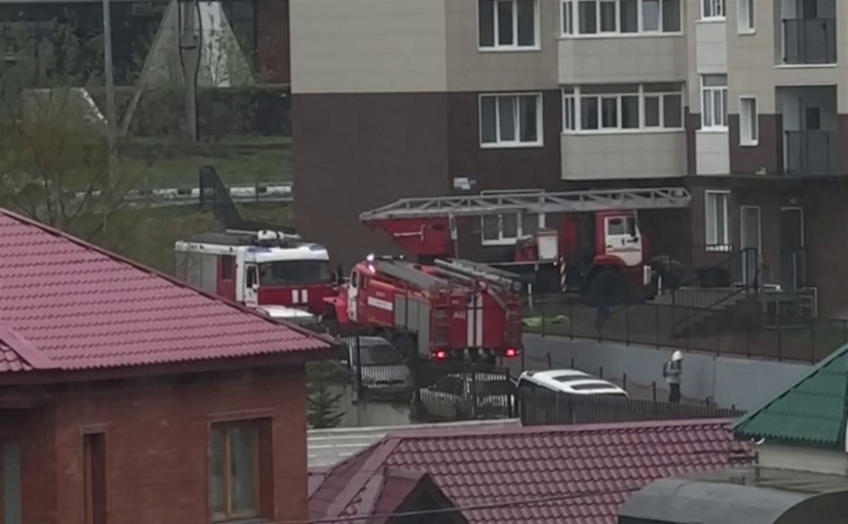 Женщина и девочка эвакуировались, две собаки погибли: итоги пожара в многоэтажке в Южно-Сахалинске