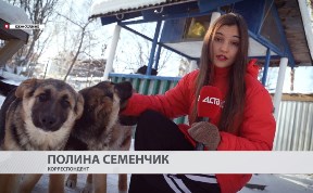 Общество