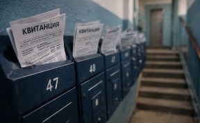 Общество
