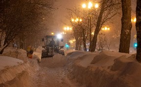 Общество