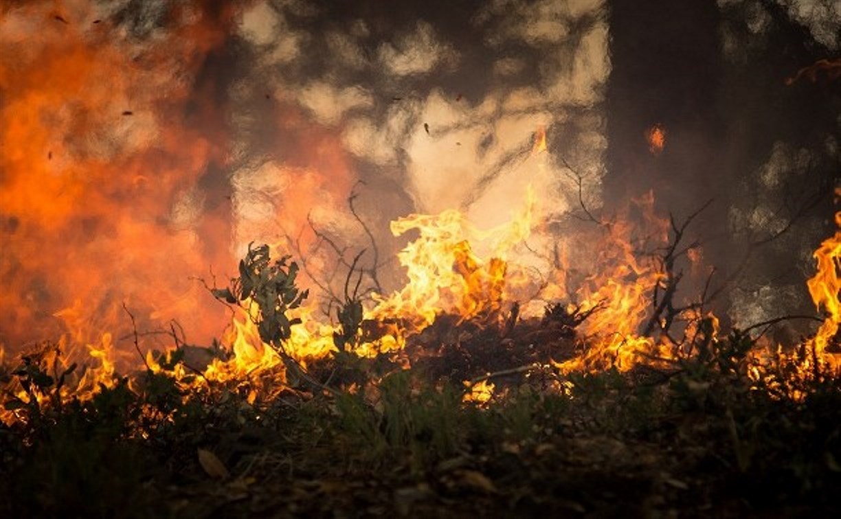 Высокая пожарная опасность сохраняется в Охинском районе