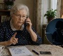Россиянам позволят ограничить себе международные звонки