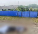 Мёртвого мужчину нашли на дороге в сахалинском селе