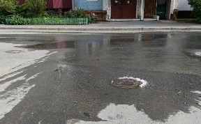 Общество