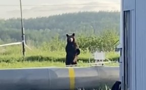 Общество