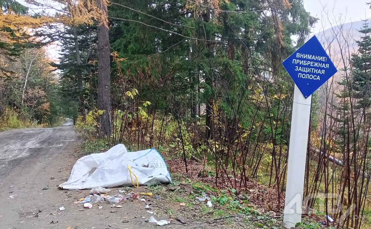 Жители Южно-Сахалинска требуют очистить от мусора лес за городским парком